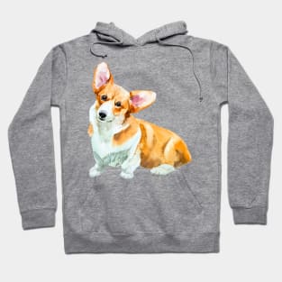 corgi pembroke Hoodie